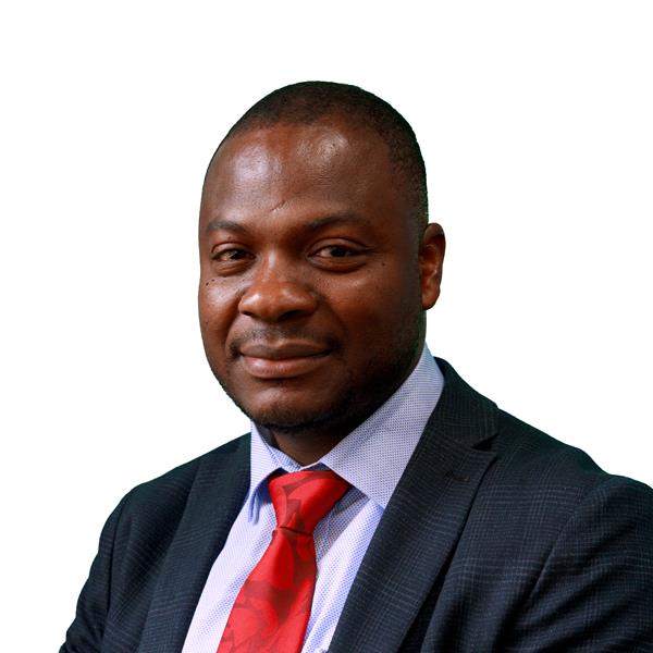 Profile image for Councillor Dr Chukwudi Okeke